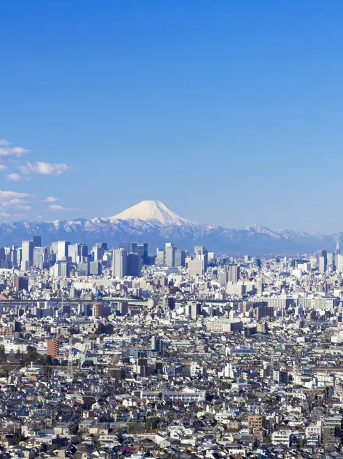 Mount Fuji Tokyo Sky Tree Tokyo