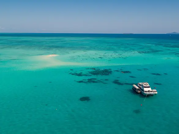 Australien Ocean Free Freedom