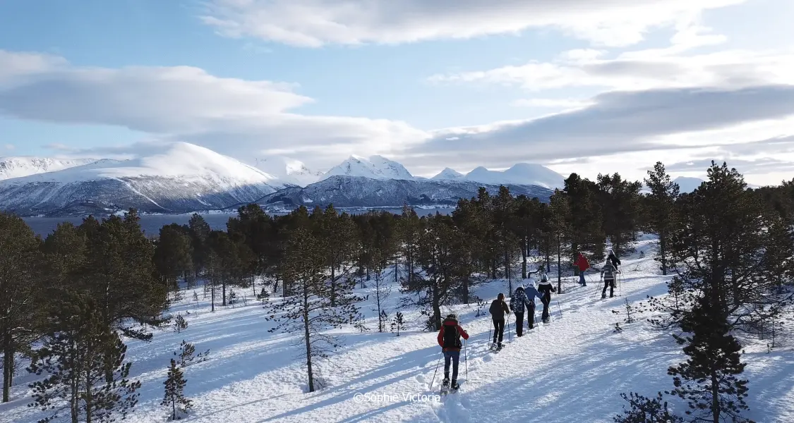 Guided Easy Snowshoeing With A Visit To Local Caf . Credit Photo Sophie Victoria 17