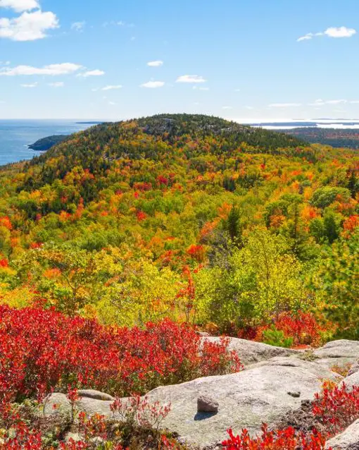 maine-bar-harbor.jpg (1)