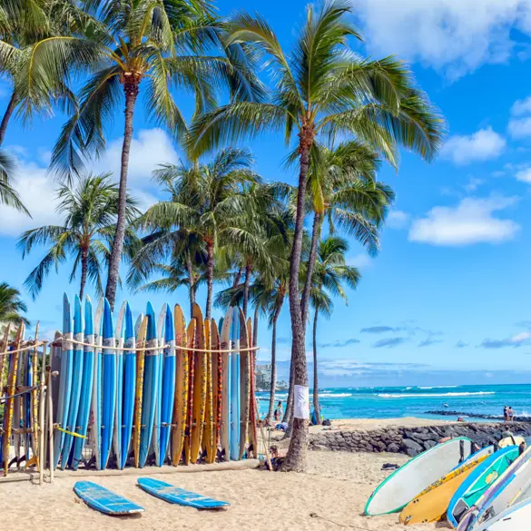 Waikiki Beach Honolulu Hawaii