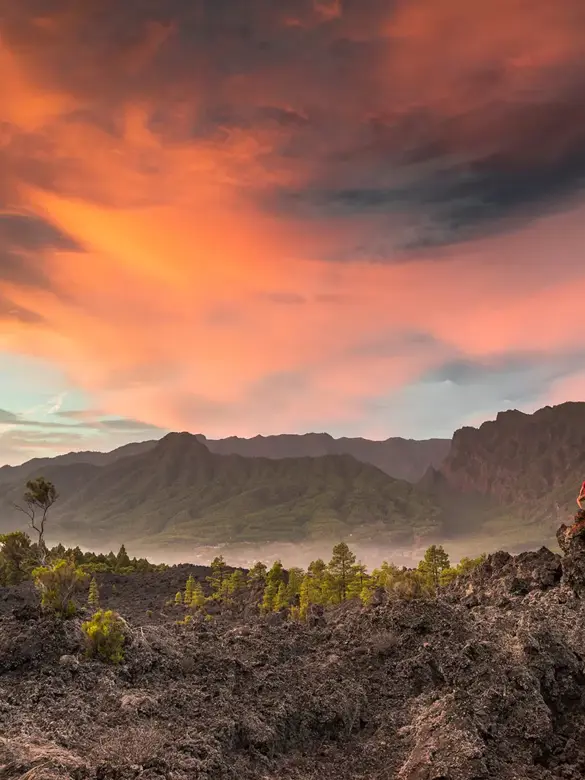 la-palma_paisaje_van-marty-forlaenget.webp
