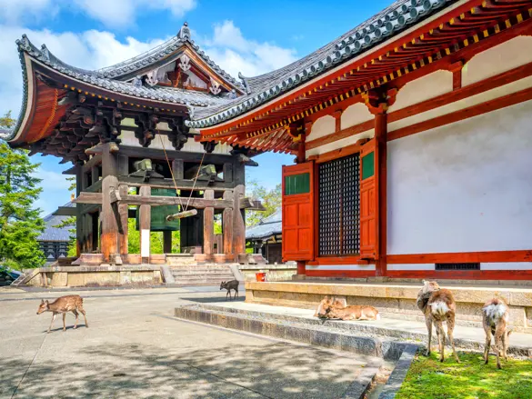 Nara Japan