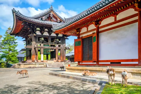 Nara Japan