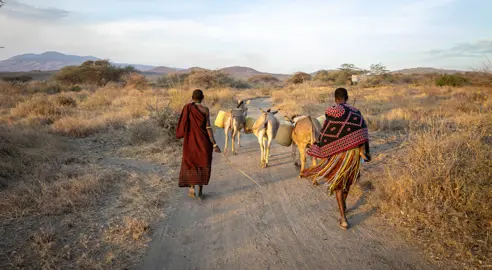 Safari begynder i Arusha i Tanzania