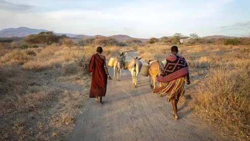 Safari begynder i Arusha i Tanzania