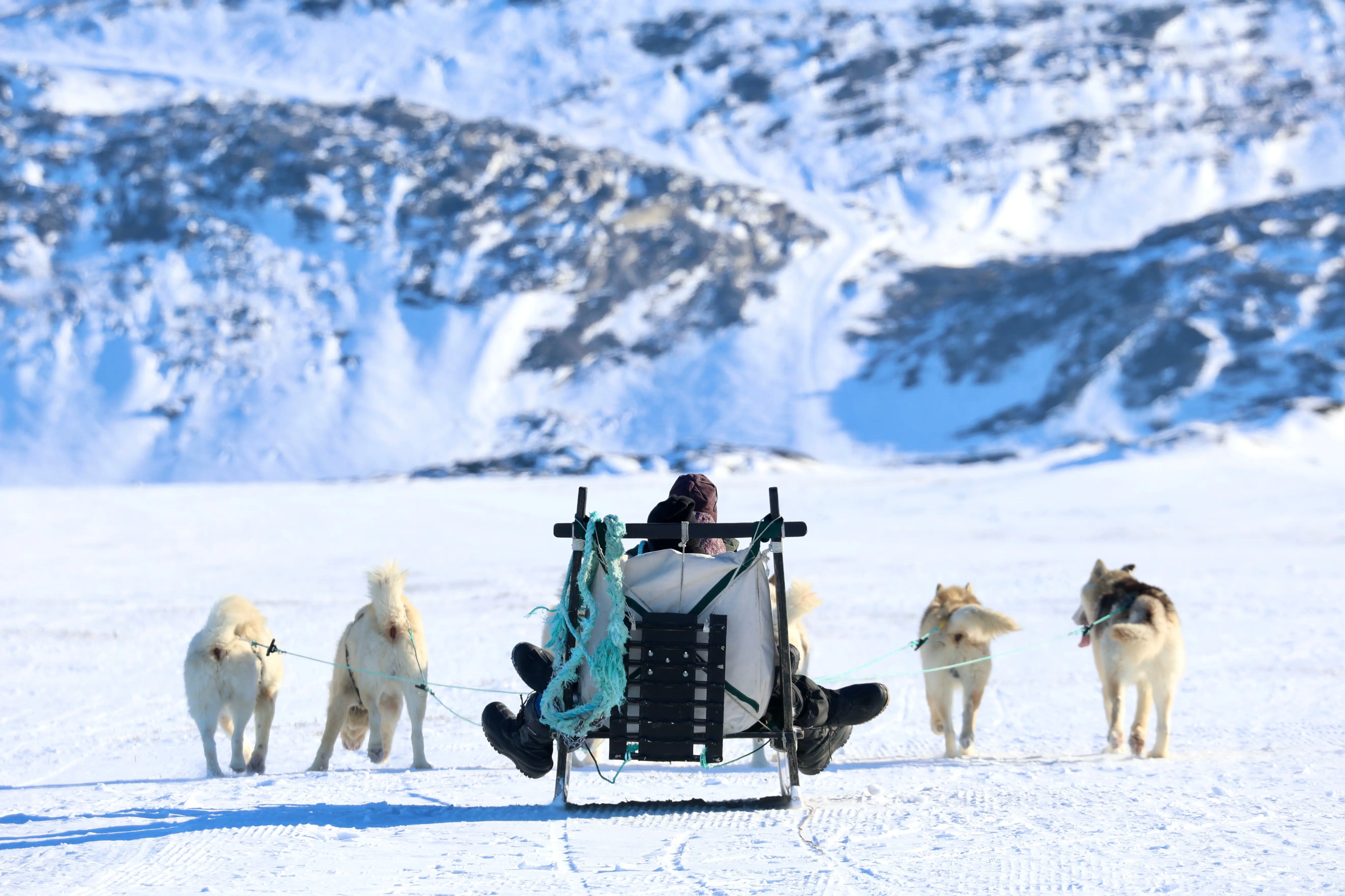 Shutterstock 2449353233