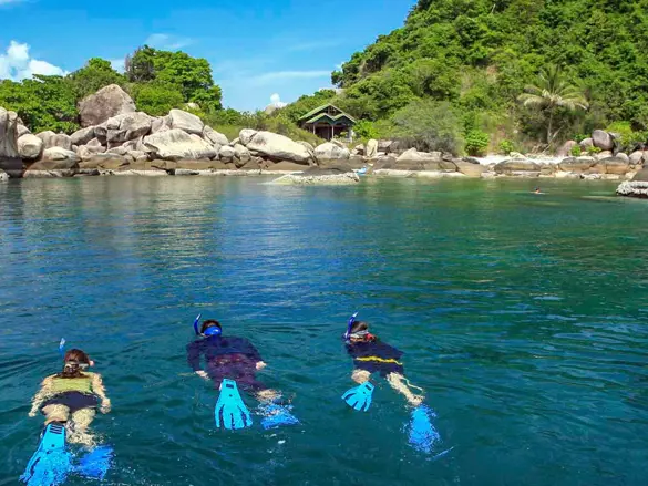 Kohtao Adobestock 24153209 1 1