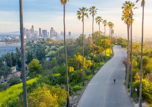 aktivitet-californien-los-angeles.jpg (1)
