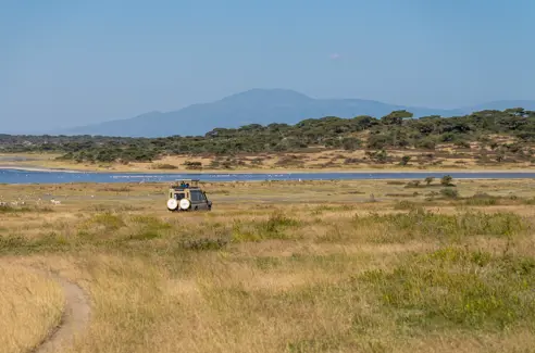 Ndutu safari