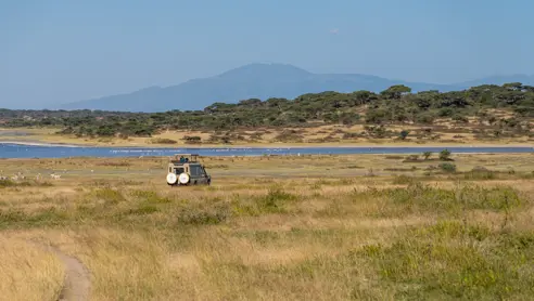 Ndutu safari