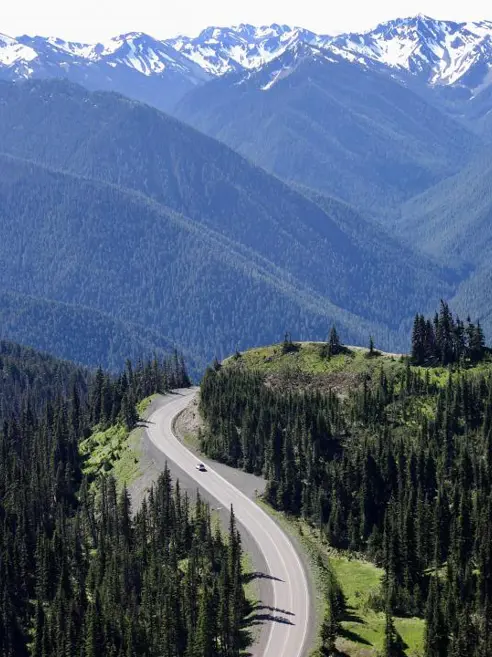 inspiration-vestkysten-olympic-hurricane-ridge.jpg