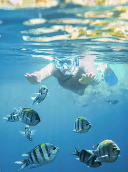 Hjemmeside Rejseforslag (1)