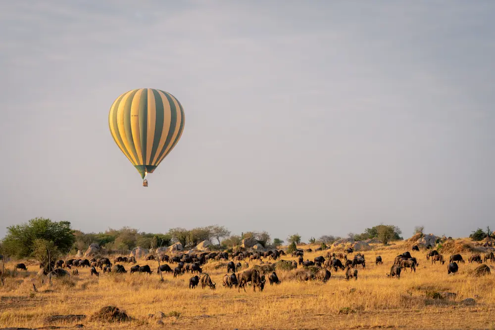 Ballonsafari i Tanzania
