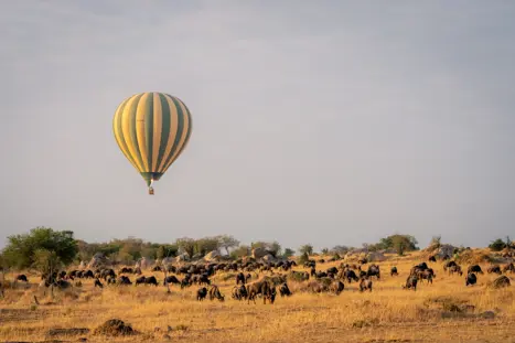 Ballonsafari i Tanzania