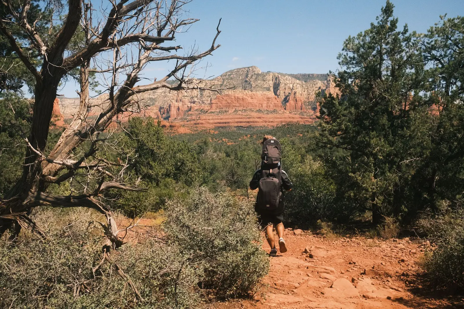 Vandring I Arizonas Natur