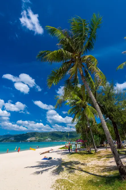 Phuket Patong Beach (หาดป่าตอง) 229582OX