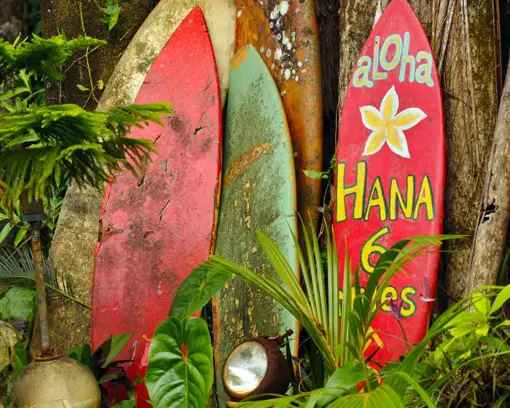 hawaii-varierede-aktiviteter.jpg