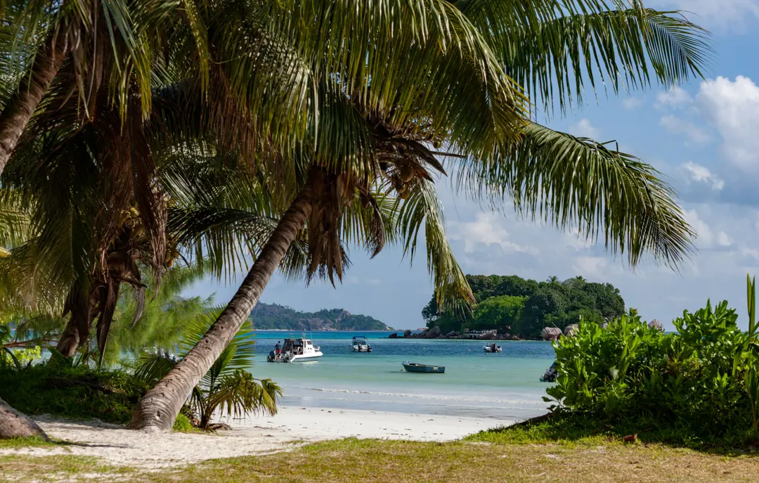 Chauvre Souris Island From Anse Volbert Beach