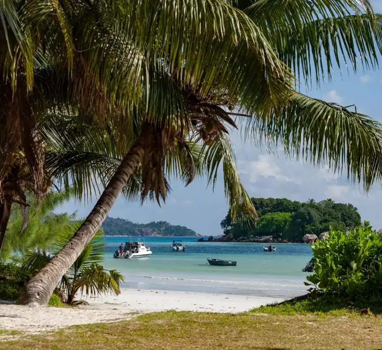 Chauvre Souris Island From Anse Volbert Beach
