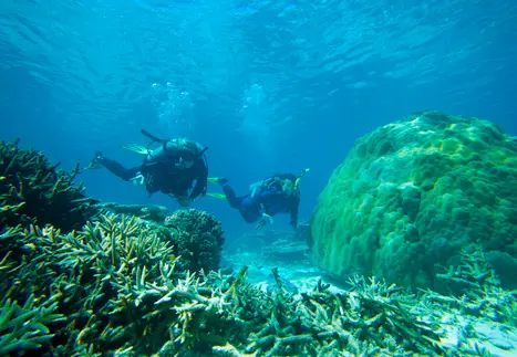 Australien  Diving