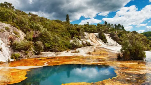 Varm Kilde I Rotorua, New Zealand