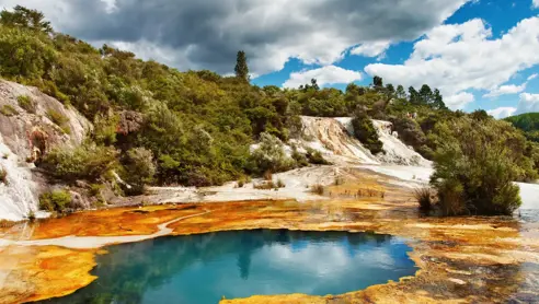 Varm Kilde I Rotorua, New Zealand