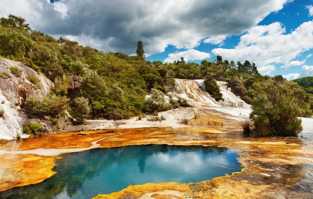 Varm Kilde I Rotorua, New Zealand