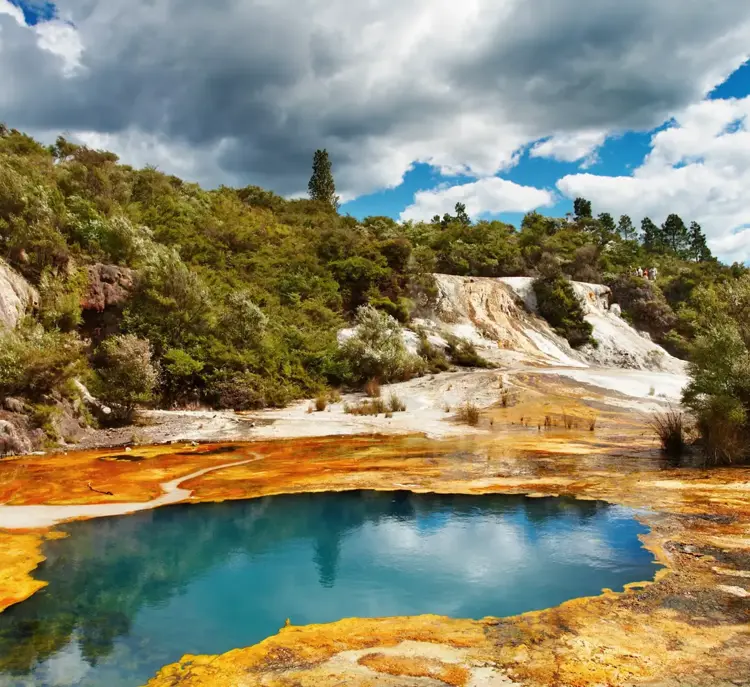 Varm Kilde I Rotorua, New Zealand