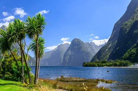 Milford Sound New Zealand