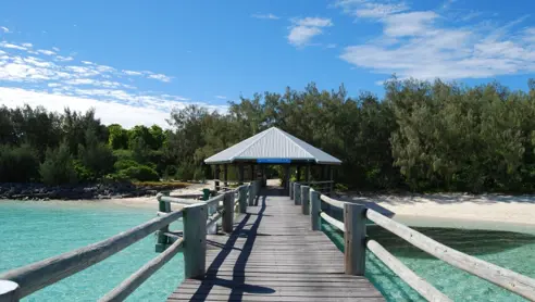 Australien Heron Island2