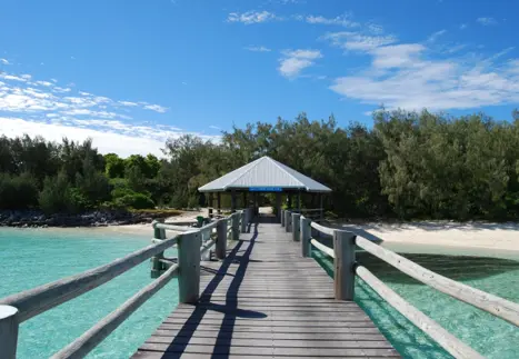 Australien Heron Island2