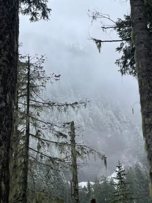 Mount hood