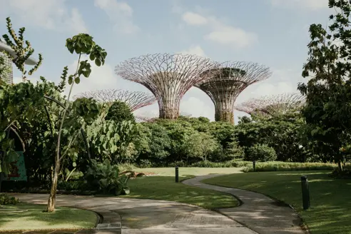 Gardens by the Bay (4)
