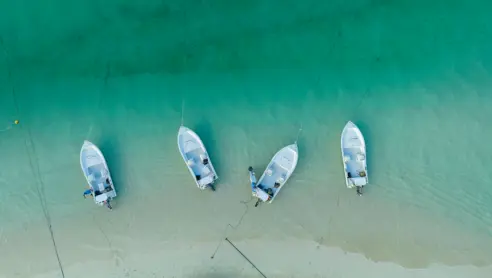Fishing Skiffs, Cosmoledo
