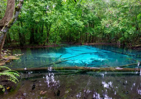 Thung Teao Forest Natural Park, Emerald Pool (2)