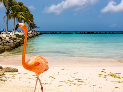 Aruba (2)