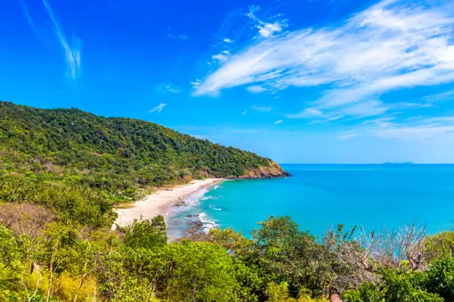 Bamboo Beach