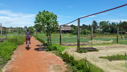 Tra Que Village nær Hoi An Vietnam