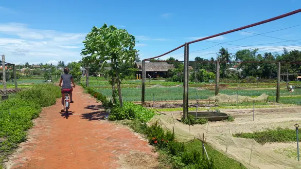 Tra Que Village nær Hoi An Vietnam