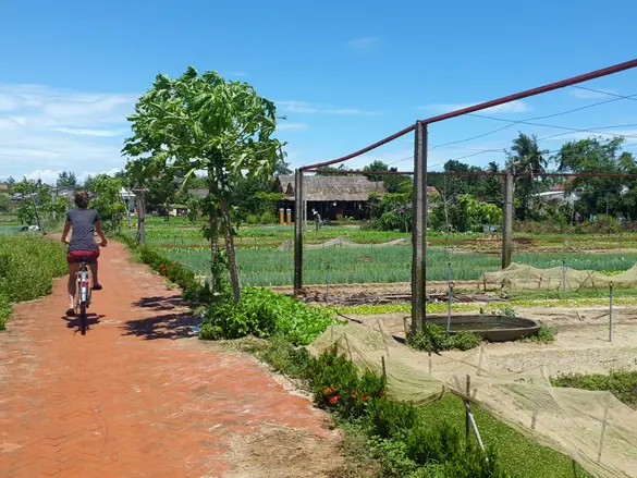 Tra Que Village nær Hoi An Vietnam