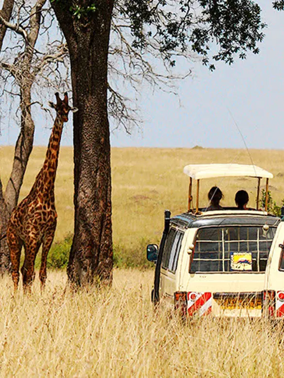 Geoffreys_Kenya_safari.jpg