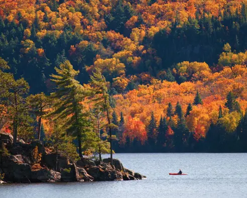 Blog Post Aktiv Ferie I Canada Kajakk Algonquin