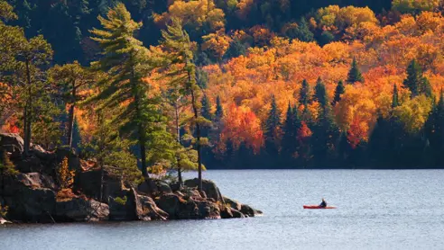 Blog Post Aktiv Ferie I Canada Kajakk Algonquin