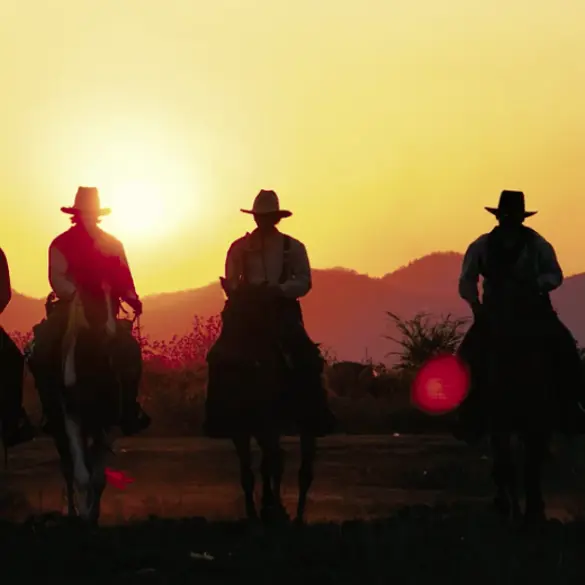 texas-hero.png