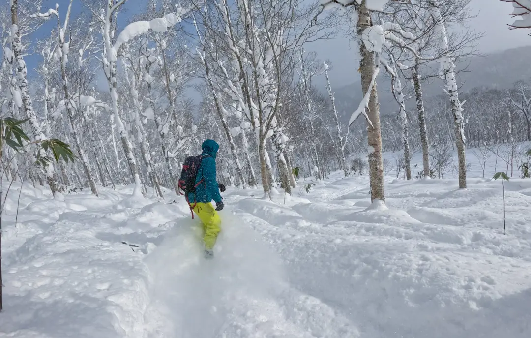 Snow board på Hokkaido i Japan