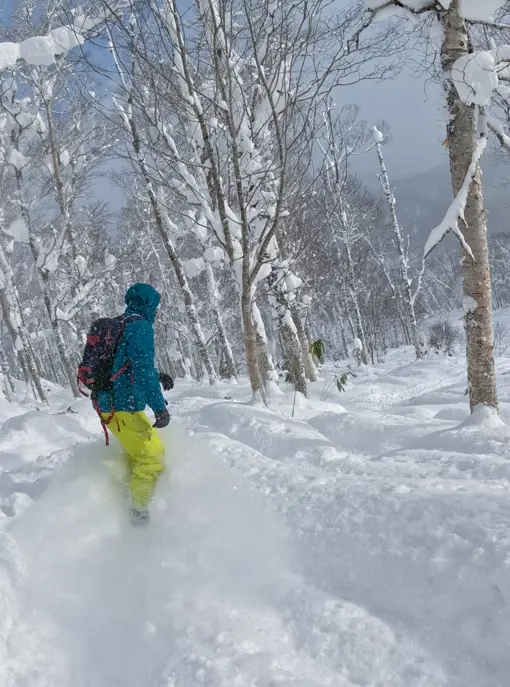 Snow board på Hokkaido i Japan
