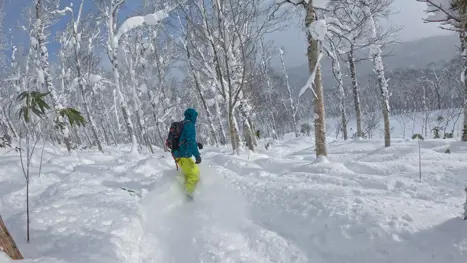 Snow board på Hokkaido i Japan
