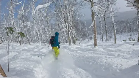 Snowboard på Hokkaido i Japan