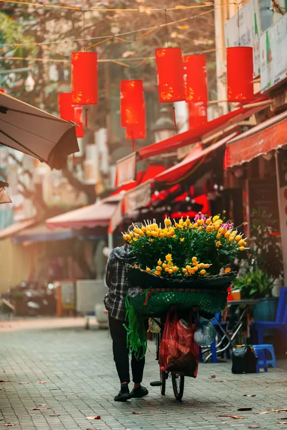 Blomster på en cykel i Hoi An, Vietnam